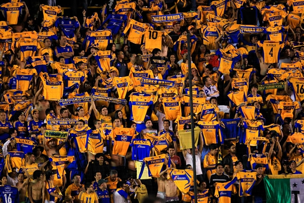 ImagenAficionTigres