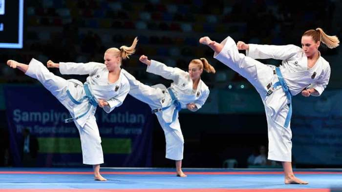 Karate-Imagen-predeterminada.jpg